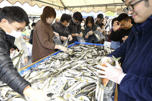大人気だった魚の詰め放題